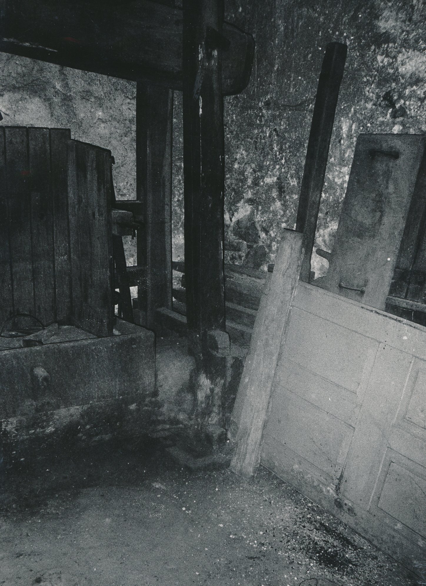 eika image